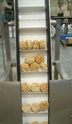 Food Conveyor Elevator